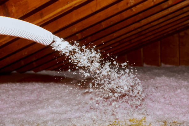 Best Insulation Inspection Services  in Richfield, WI
